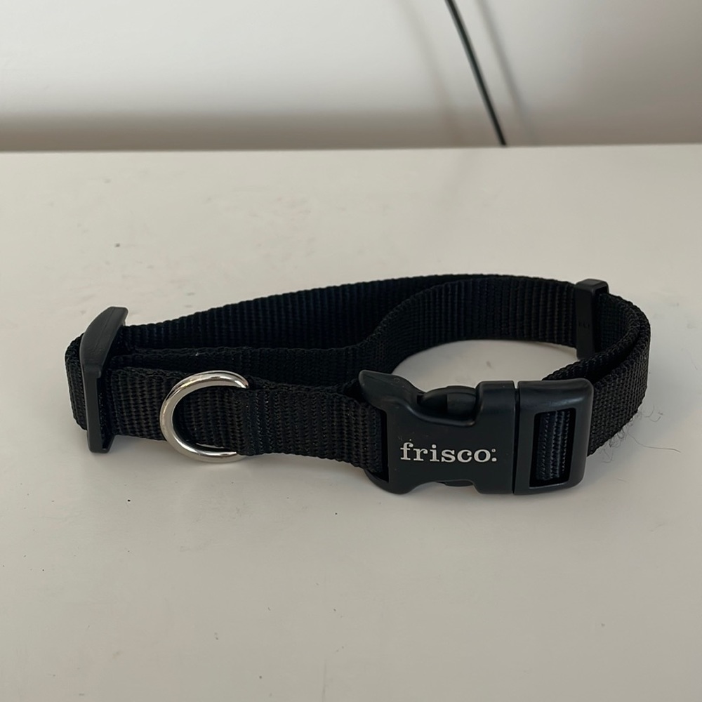 5 for $5 EUC frisbo small/ medium dog collar
